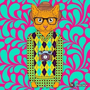 Meet your Posher, Cecelia