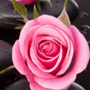 Meet your Posher, Yeimi