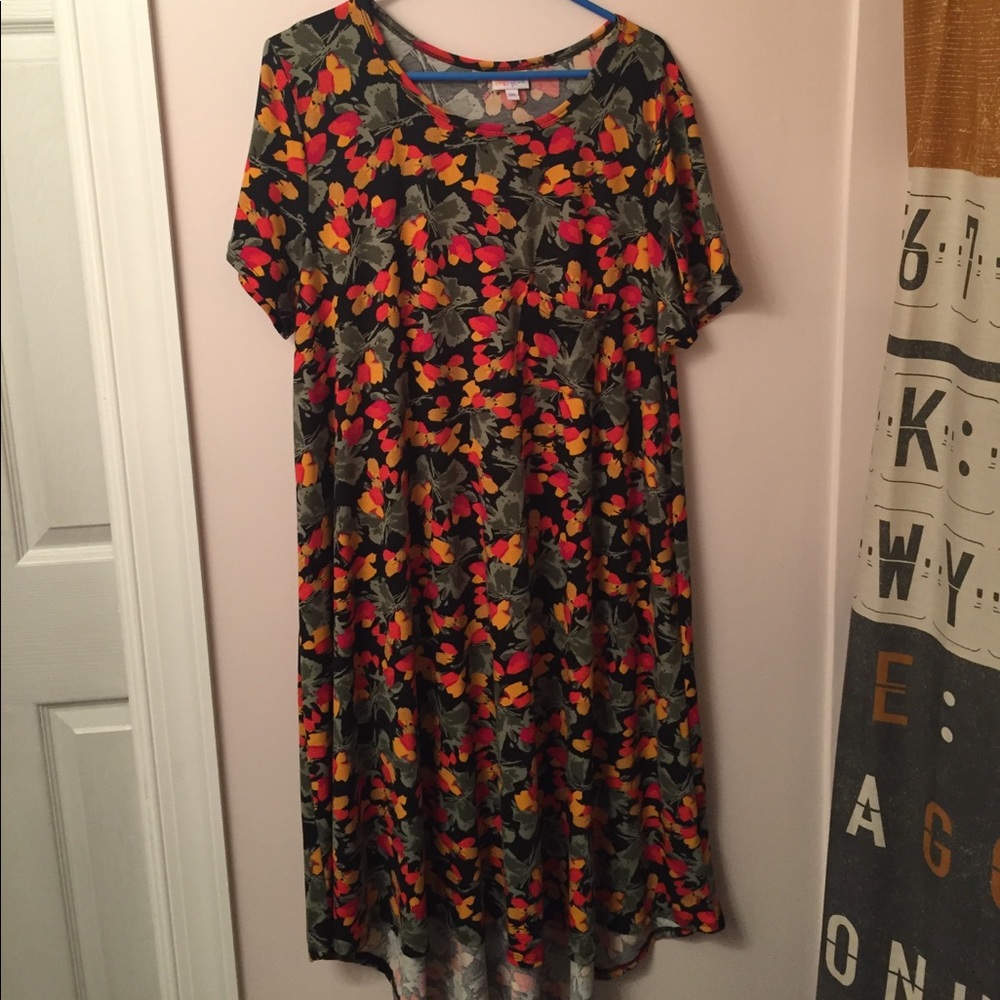 LuLaRoe Carly Dress