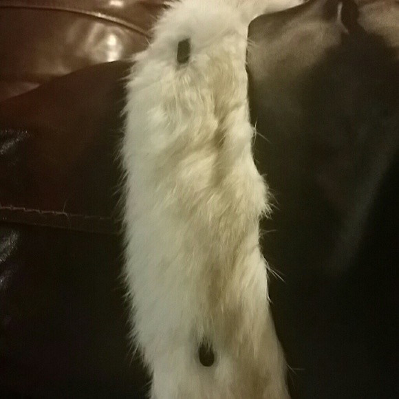 Split end Ltd Rabbit Short Coat - Picture 4 of 4