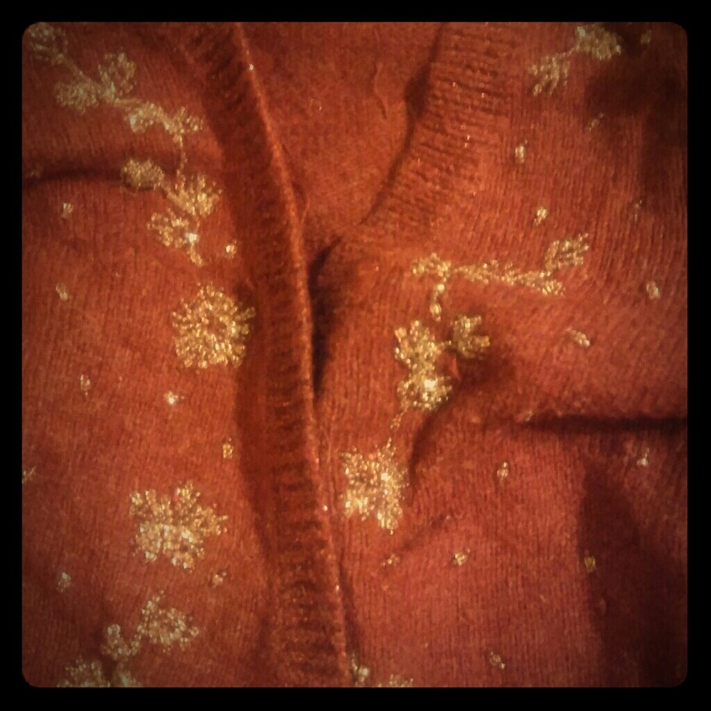 American Eagle Cardigan