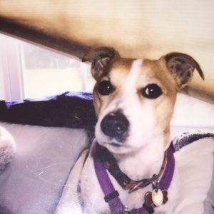 Meet your Posher, Brian