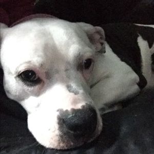 Meet your Posher, Nichole