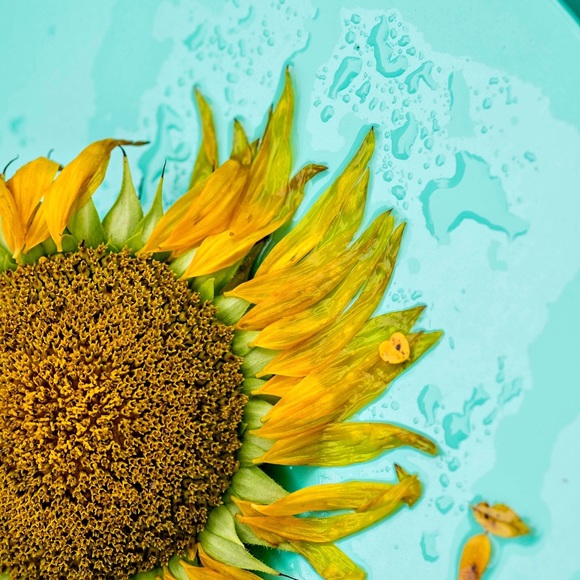 Thank you ladies!! - Picture 3 of 5