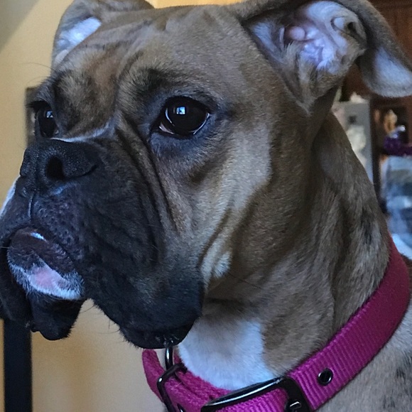 Meet your Posher, Amy - Picture 4 of 8