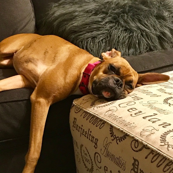 Meet your Posher, Amy - Picture 5 of 8