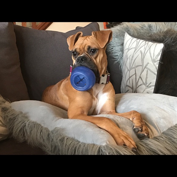 Meet your Posher, Amy - Picture 6 of 8