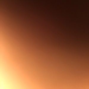 Meet your Posher, Emilee