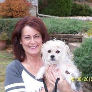 Meet your Posher, Susan