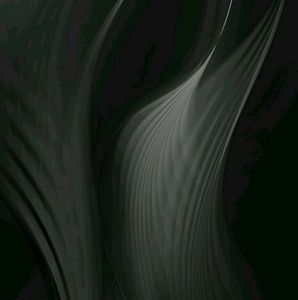 Meet your Posher, Regina