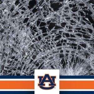 Meet your Posher, Cody