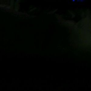 Meet your Posher, Jasmyn