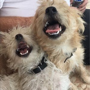 Meet your Posher, Alisa