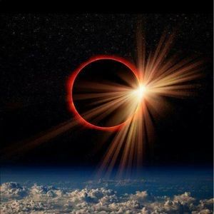 Meet your Posher, Cleo