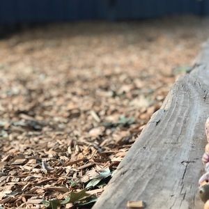 Meet your Posher, Leslie