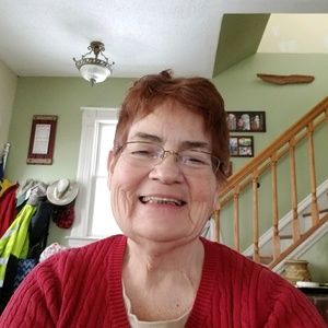 Meet your Posher, Lucy