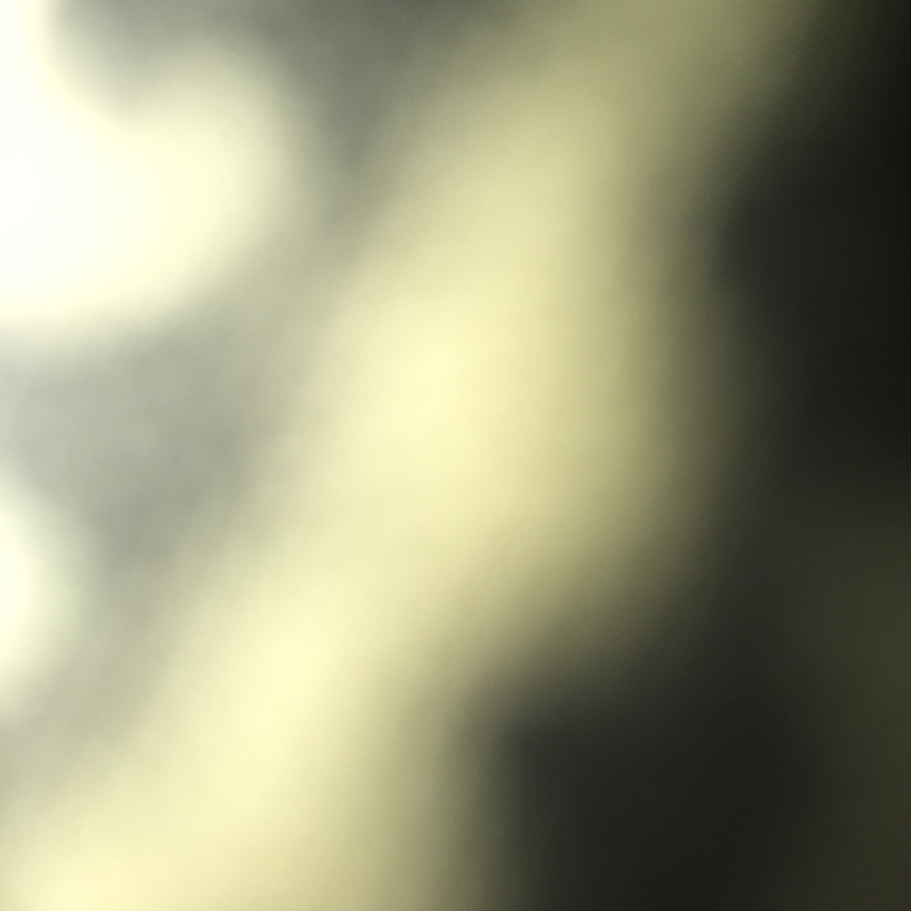 Meet your Posher, Jake