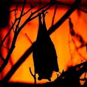 Meet your Posher, Bethanne