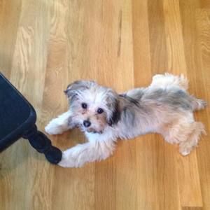 Meet your Posher, Zack