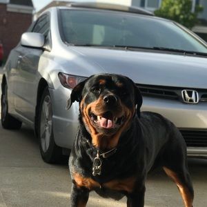 Meet your Posher, Daniel