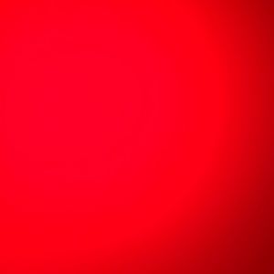 Meet your Posher, Bryant