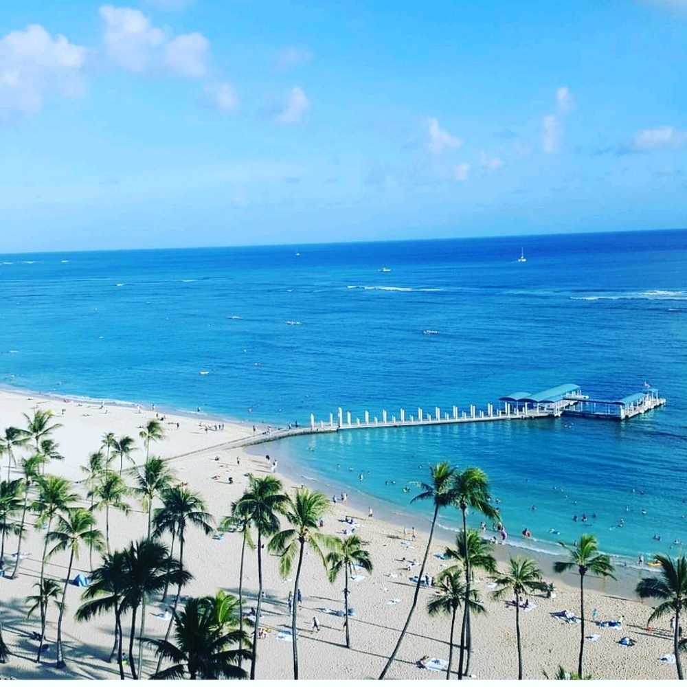 Meet your Posher, Adrien