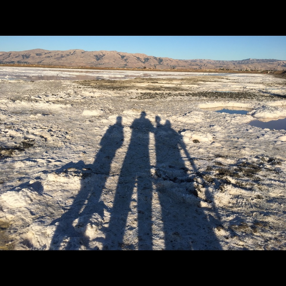 Meet your Posher, Sam