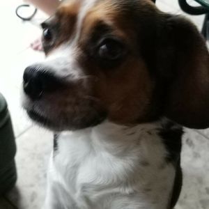 Meet your Posher, Angie