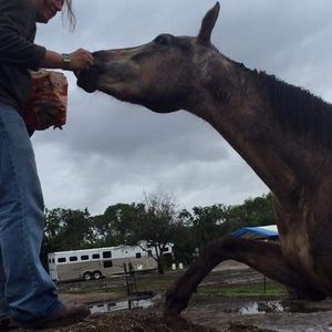 Meet your Posher, Stuart