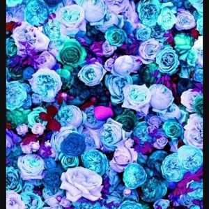 Meet your Posher, Mia