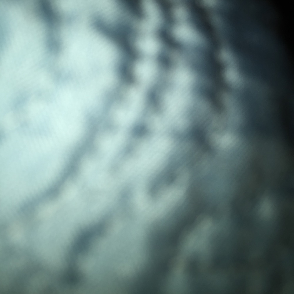 Meet your Posher, Janet