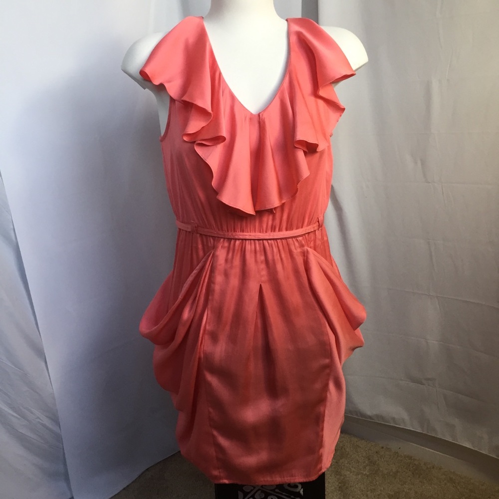 NAKED ZEBRA Coral Ruffle Dress Small - Picture 1 of 8