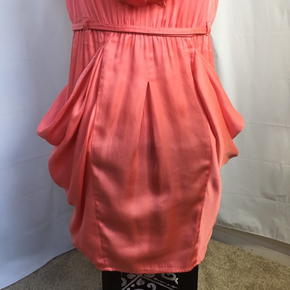 NAKED ZEBRA Coral Ruffle Dress Small - Picture 3 of 8