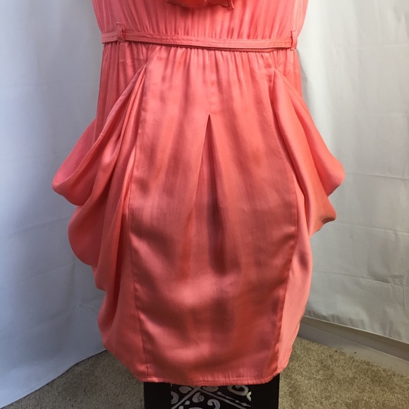NAKED ZEBRA Coral Ruffle Dress Small - Picture 3 of 8
