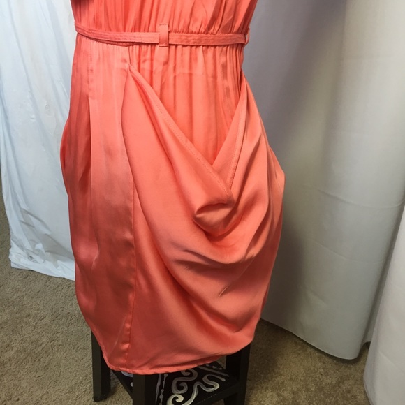 NAKED ZEBRA Coral Ruffle Dress Small - Picture 7 of 8
