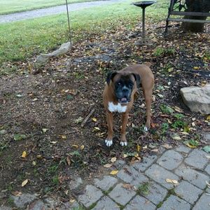 Meet your Posher, Andrew