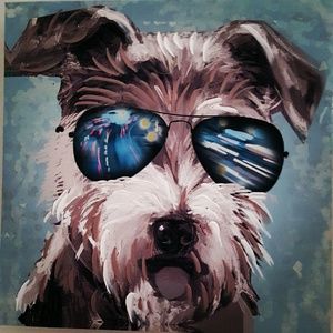 Meet your Posher, Jonny