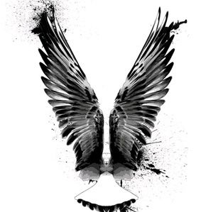 Meet your Posher, Joshua