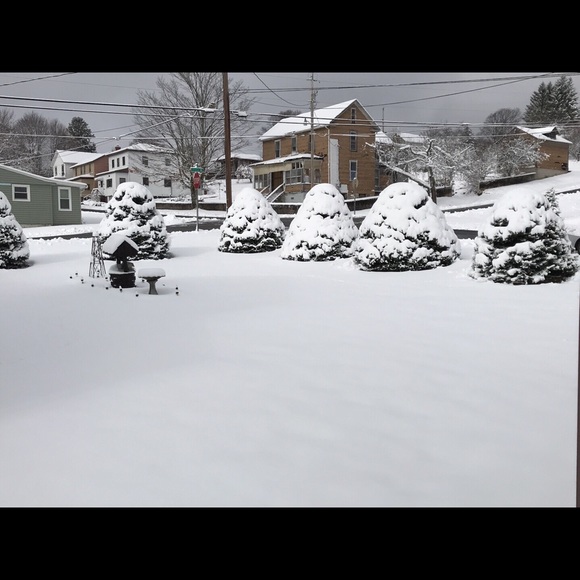 Meet your Posher, James - Picture 1 of 1