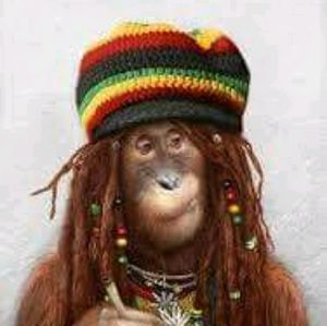 Meet your Posher, Philipson