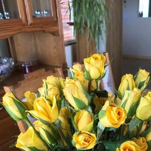 Meet your Posher, Matoe