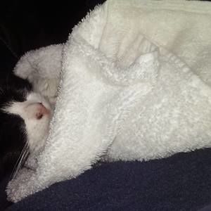 Meet your Posher, Glen