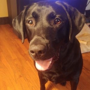 Meet your Posher, Brittani