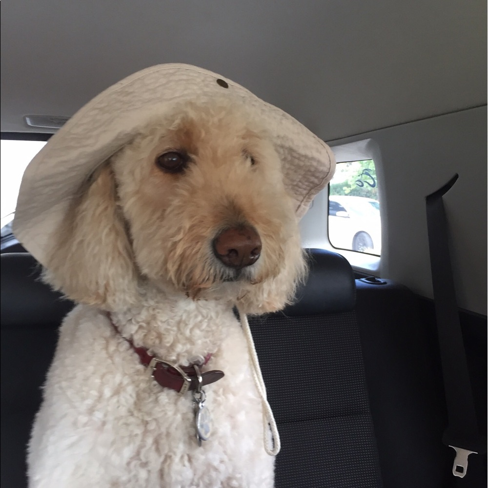 Meet your Posher, Page’s.