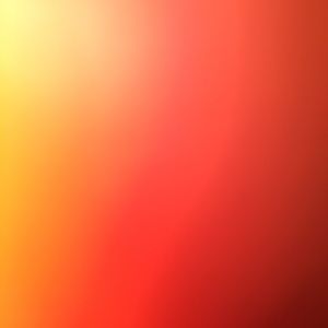 Meet your Posher, Teddy