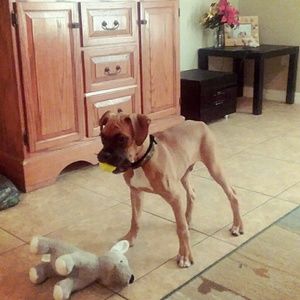 Meet your Posher, Deanna