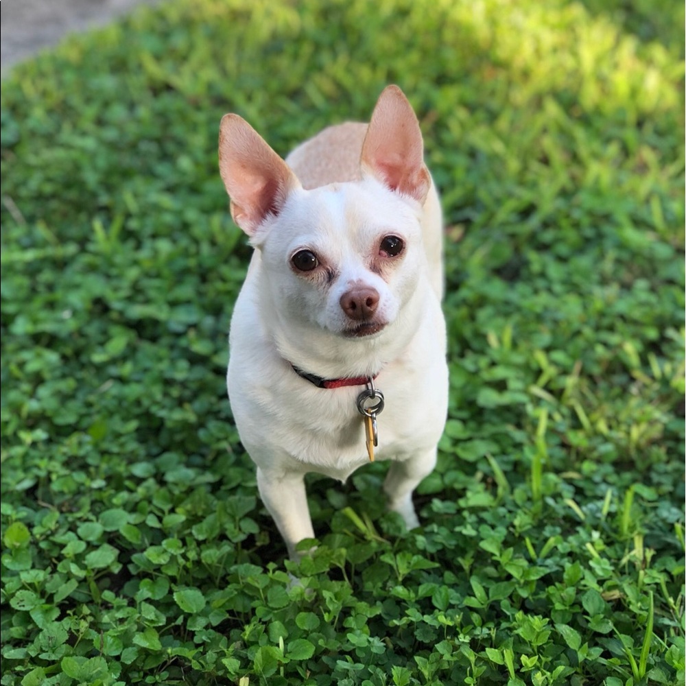 Meet your Posher, Kara