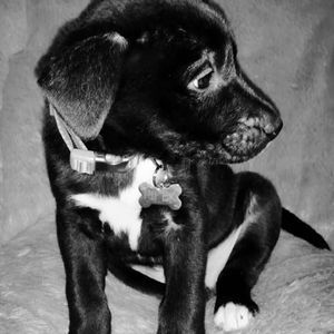 Meet your Posher, Chelsey