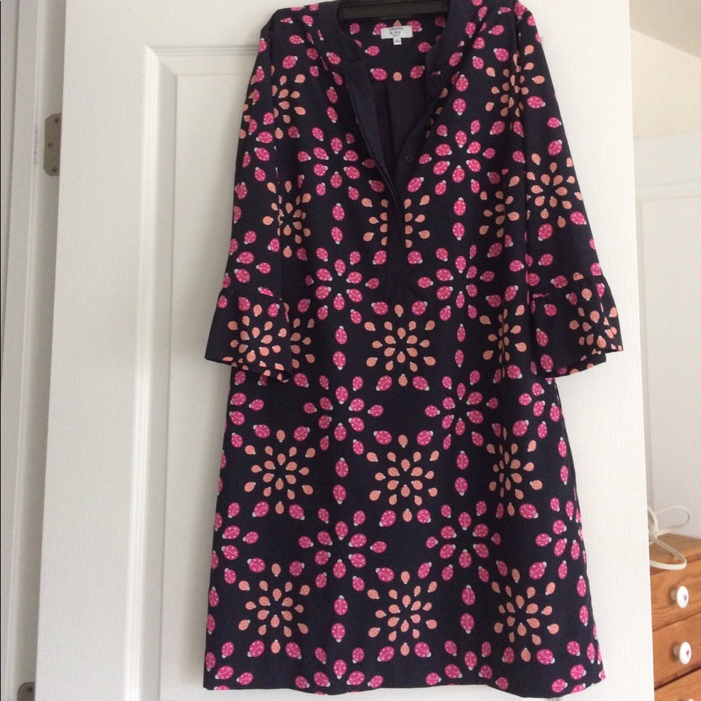 Crown and Ivy ladybug dress