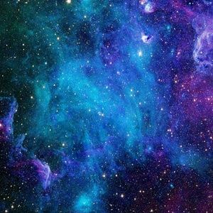 Meet your Posher, Carter